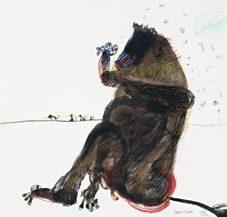 DISPLACED MANDRILL