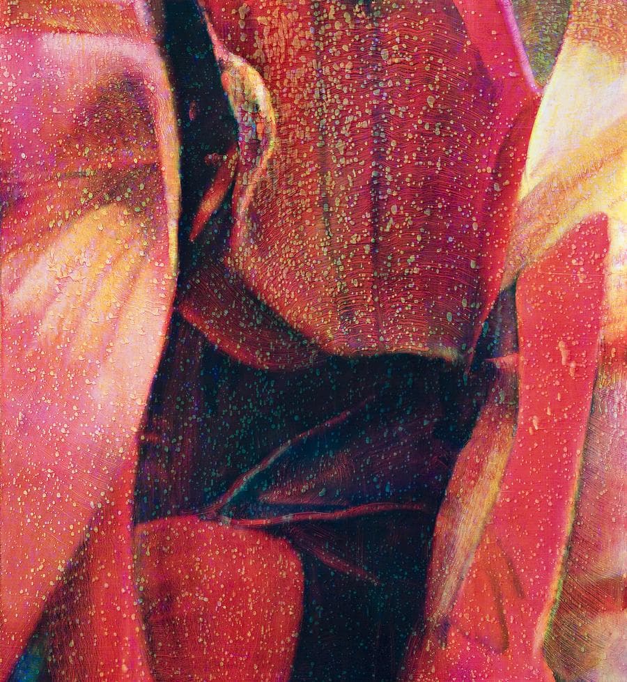 UNTITLED 20061004