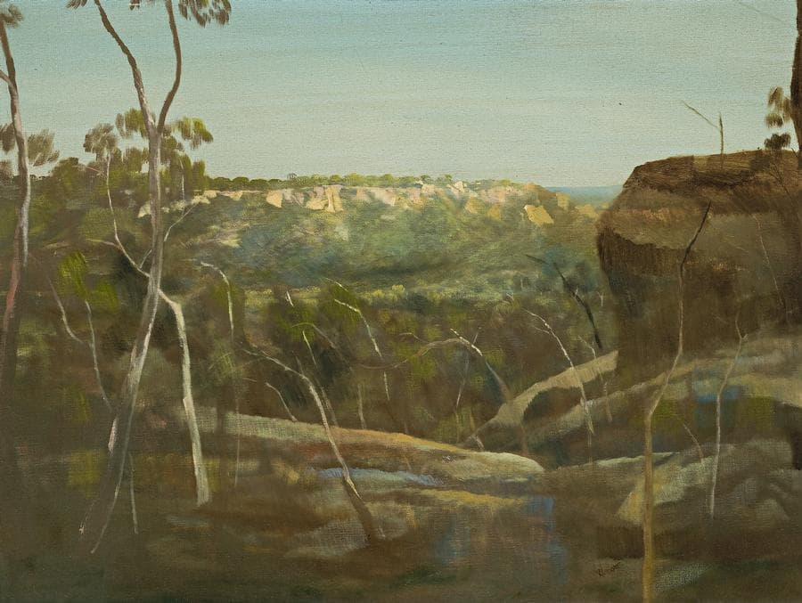 NORTH QUEENSLAND LANDSCAPE
