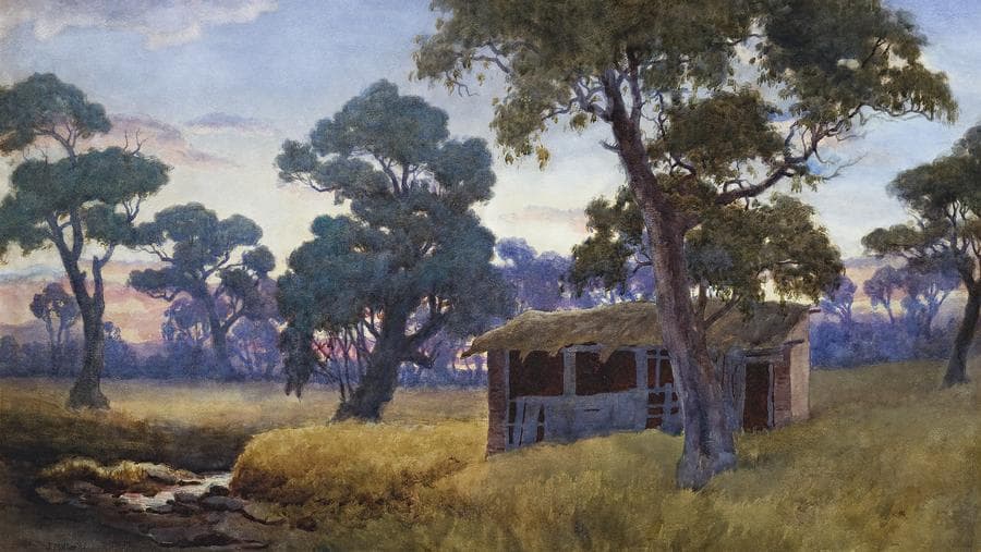 THE OLD SHED