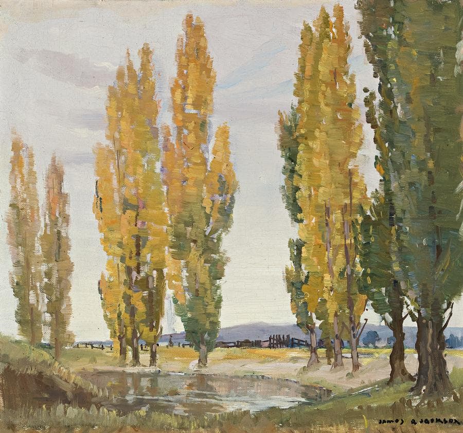 POPLARS BY THE DAM