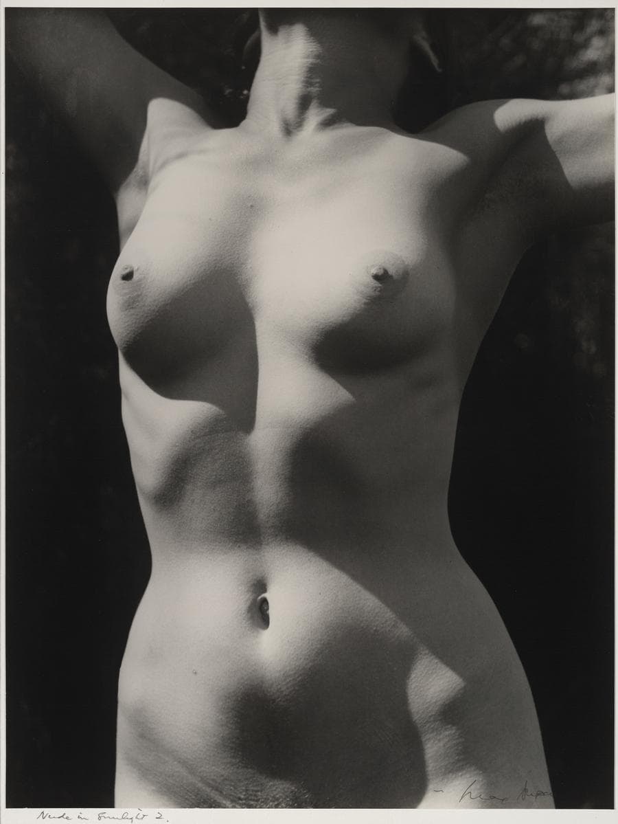 TORSO IN SUNLIGHT