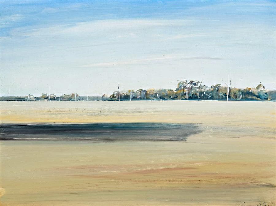 SHOALHAVEN LANDSCAPE