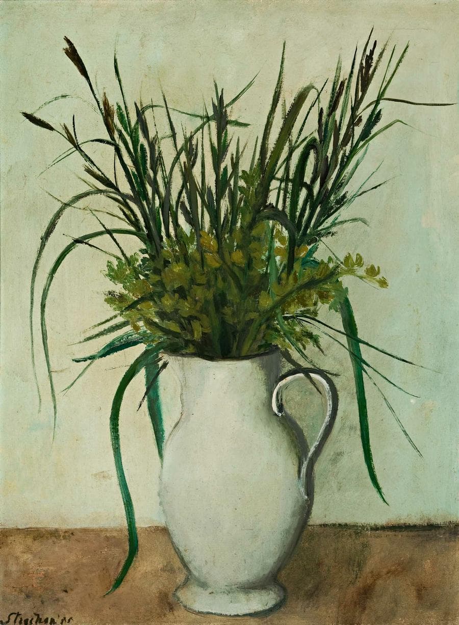 GRASSES
