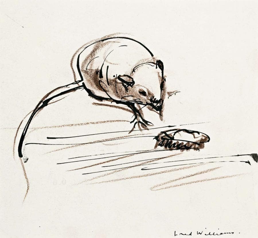 MOUSE AND ROACH