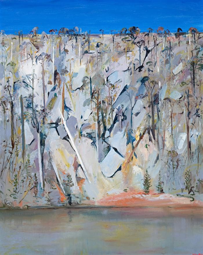 SHOALHAVEN RIVERBANK