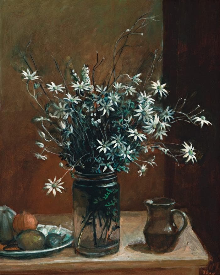 FLANNEL FLOWERS