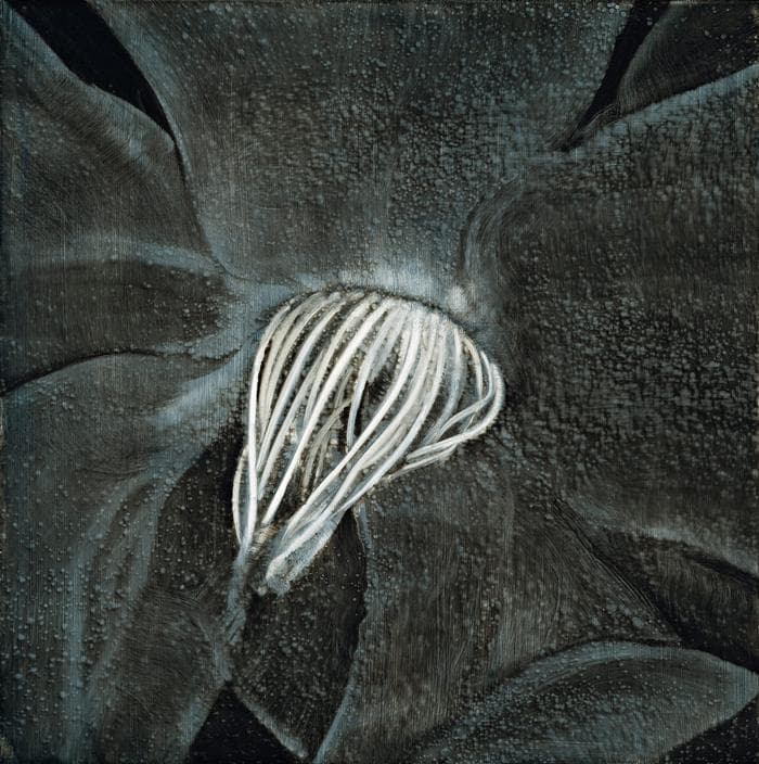UNTITLED 20030907
