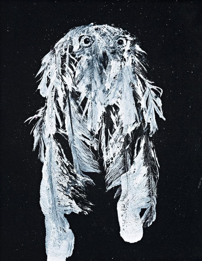 SNOWY OWL 6