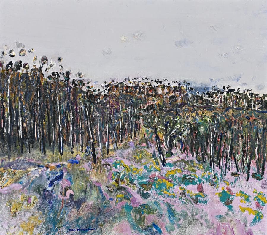 YELLOW GORSE, YAN YEAN