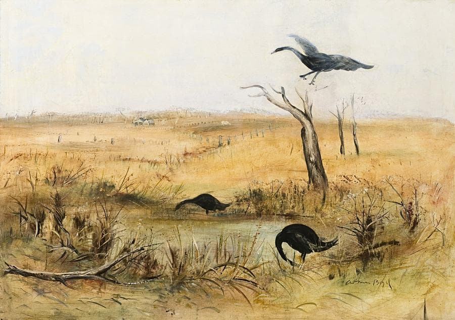 WIMMERA LANDSCAPE WITH BLACK SWANS