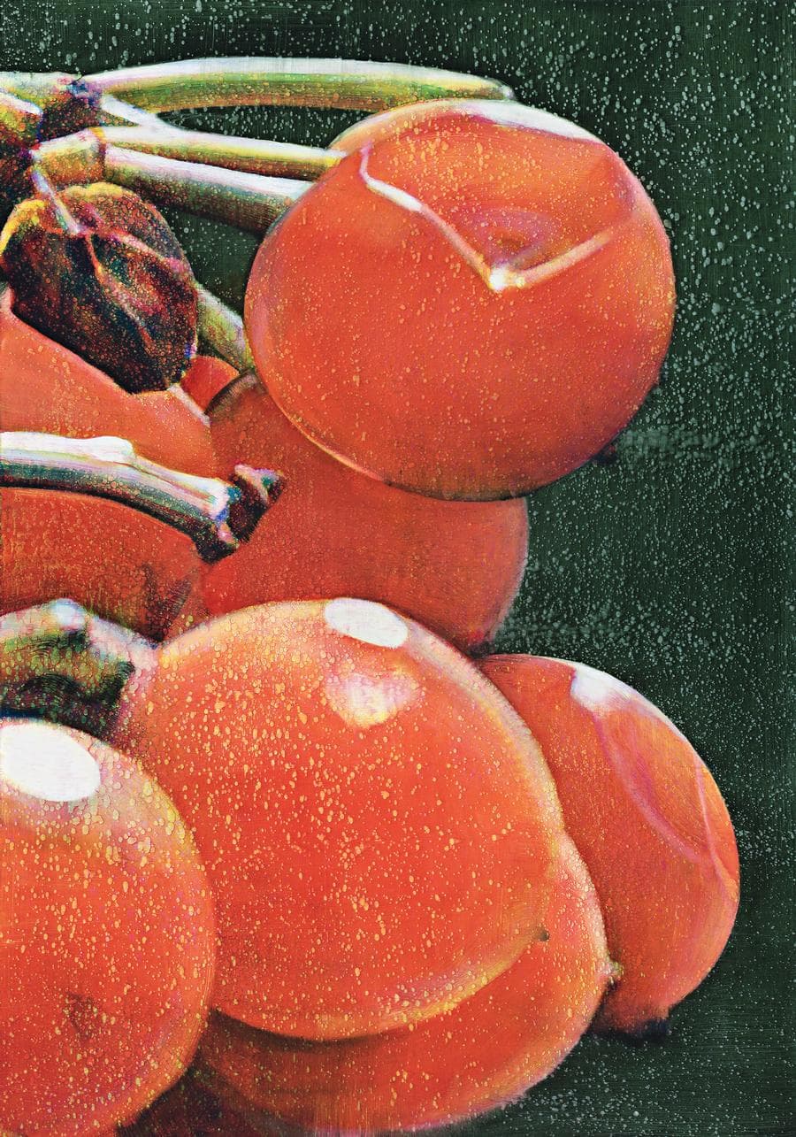 UNTITLED 20031204