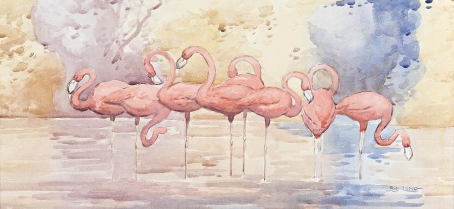FLAMINGOS