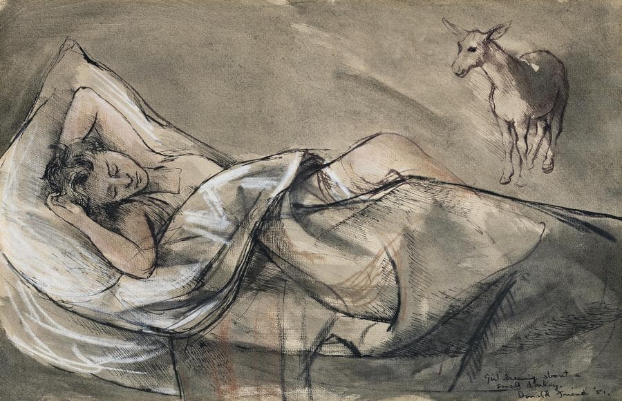 GIRL DREAMING ABOUT A SMALL DONKEY