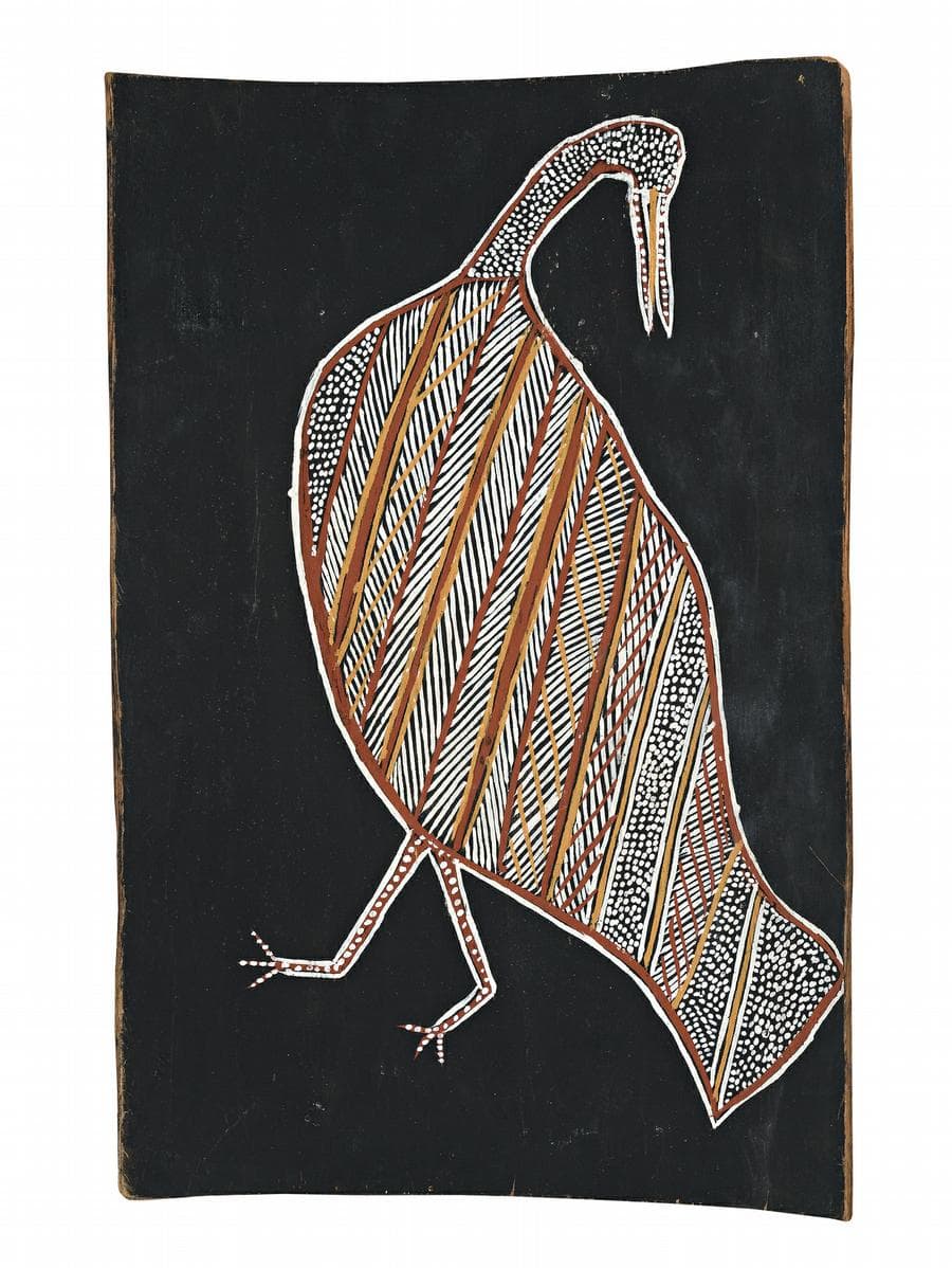 BUSH TURKEY