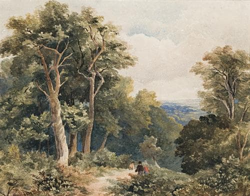 PICNIC NEAR LILYDALE