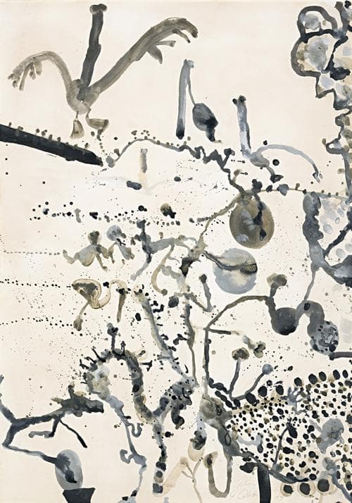BIRDS OVER THE DESERT