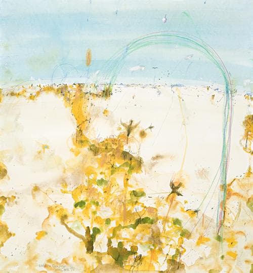 WATTLES AND RAINBOW