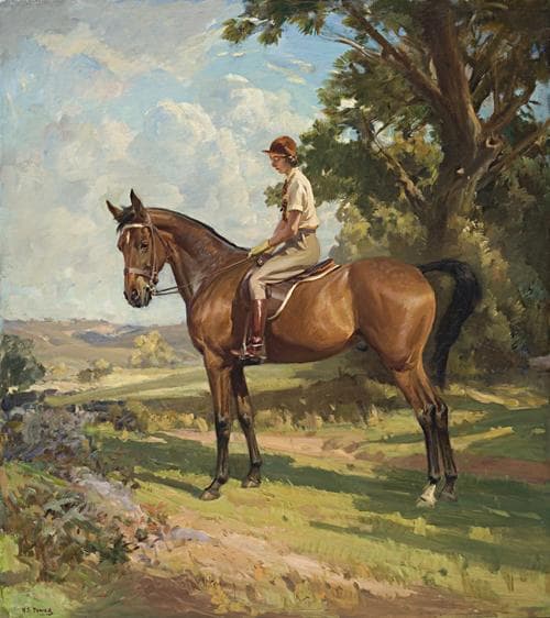 THE YOUNG EQUESTRIAN