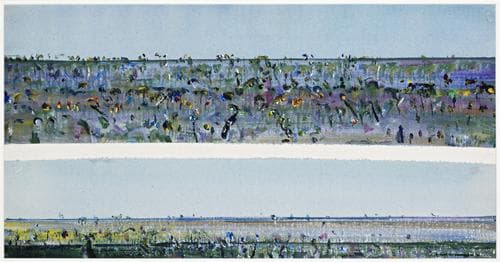LANDSCAPE, FLINDERS ISLAND