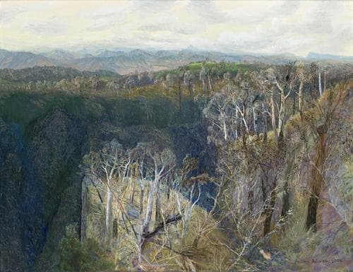 TO MOUNT FLINDERS IN AFTERNOON LIGHT