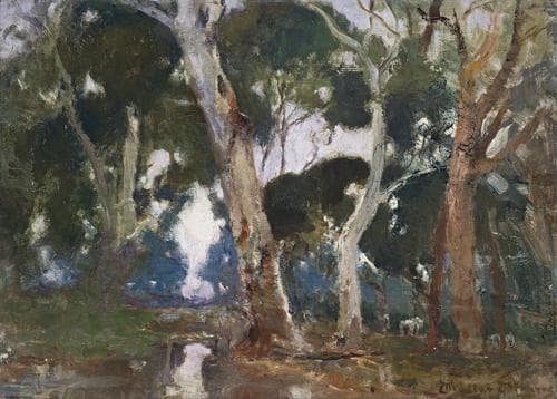 GUMS IN TWILIGHT