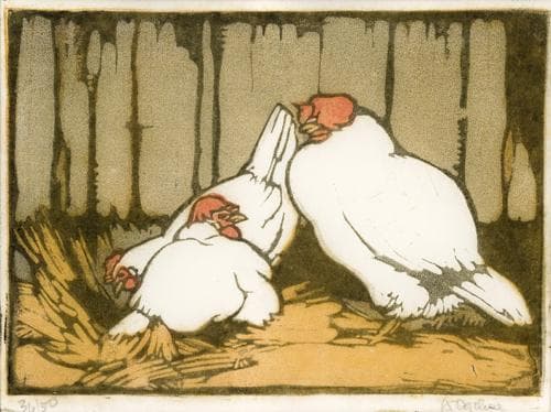 CHOOKS IN THE STRAW