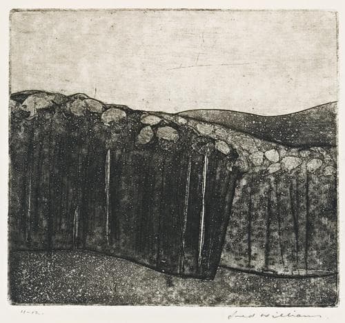 FOREST AT ALMERTON NUMBER 2