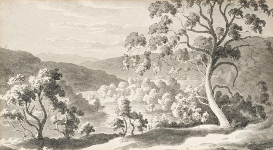 TASMANIAN LANDSCAPE