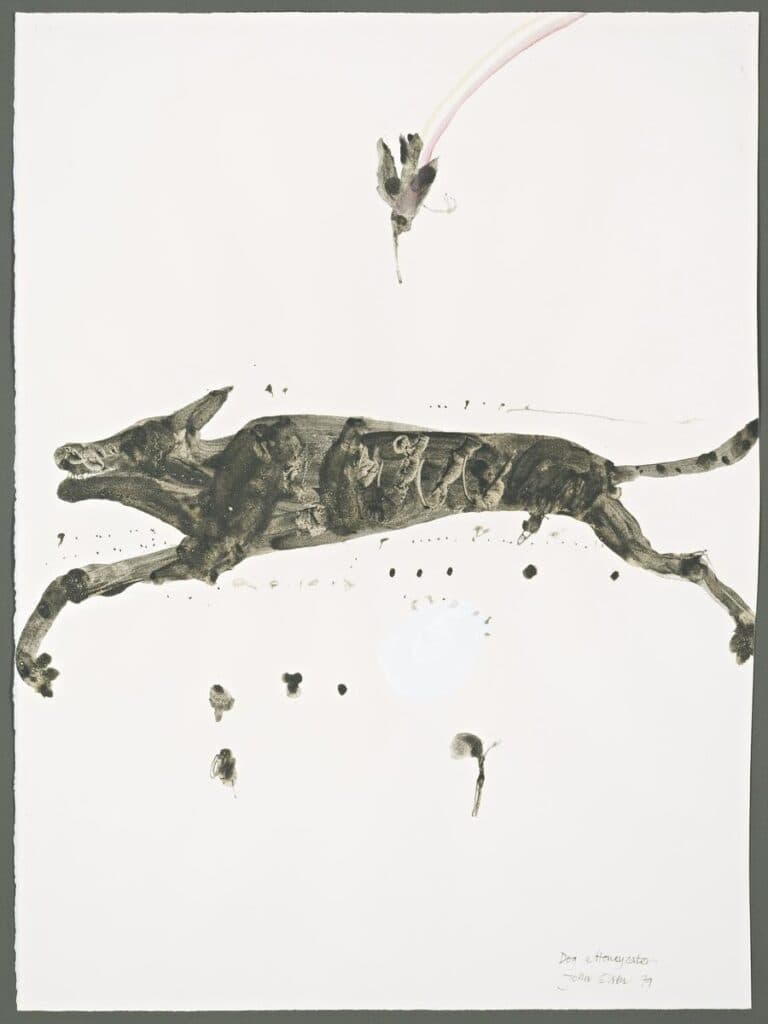 DOG AND HONEYEATER