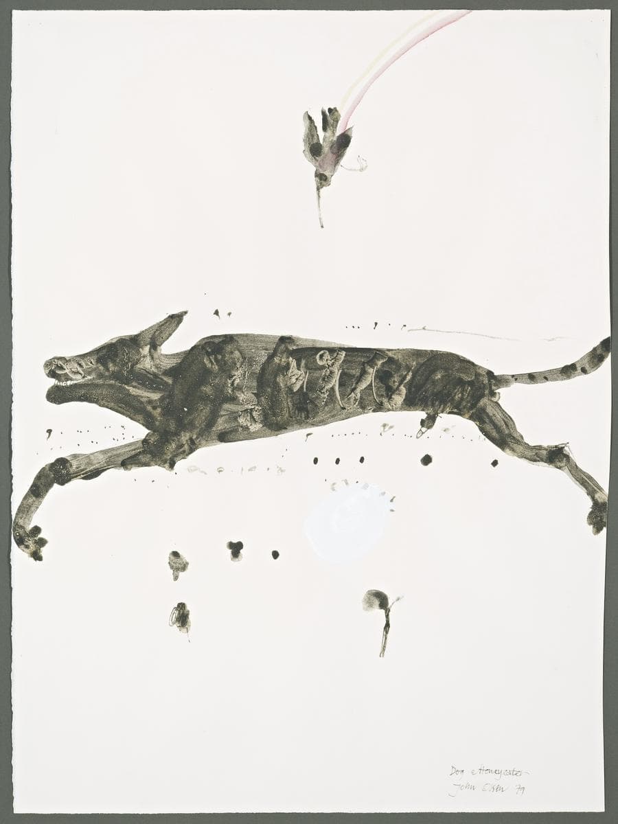 DOG AND HONEYEATER