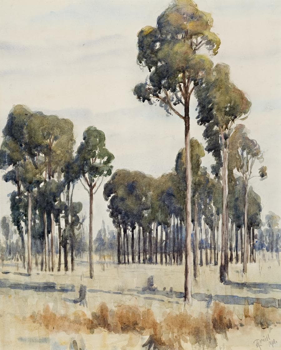 LANDSCAPE