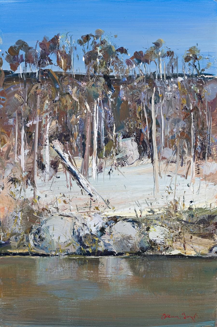 SHOALHAVEN RIVERBANK