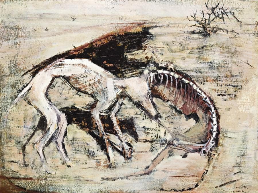DINGO AND DROUGHT