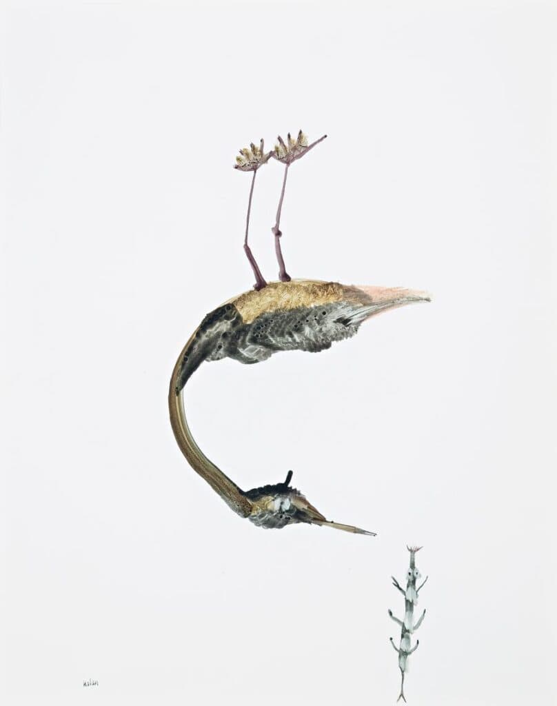 UPSIDE DOWN BIRD AND INSECT