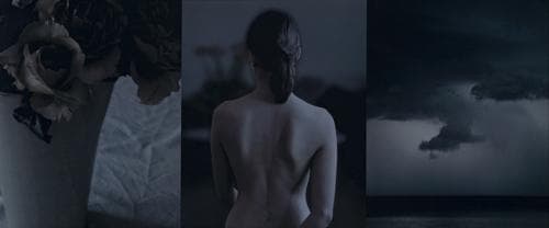 GENERIC STUDIES : FLOWER, FIGURE AND SEASCAPE