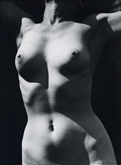 TORSO IN SUN II