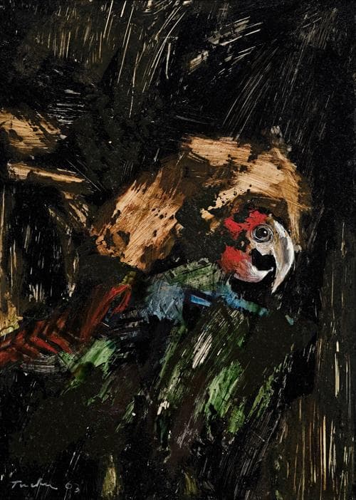 THE PARROT