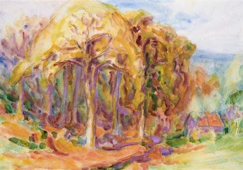 HOUSE AMONG THE TREES, SOUTH OF FRANCE
