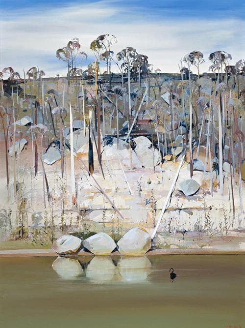 BLACK SWAN AND REFLECTED ROCKS, SHOALHAVEN