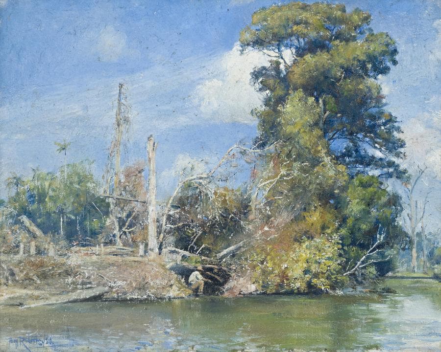 AN ISLAND ON THE TWEED, N.S.W.