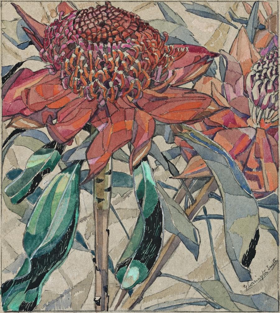 WARATAH