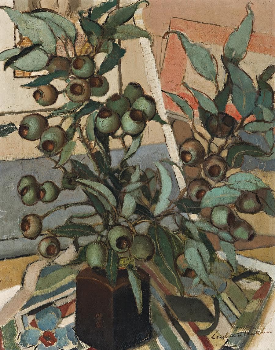 GREEN GUM NUTS
