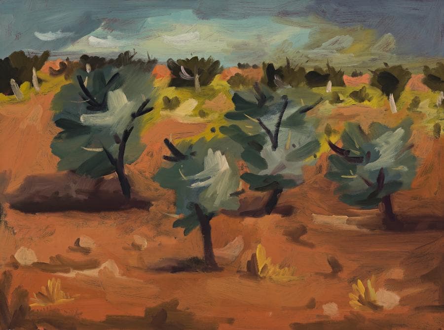SUNDOWN NEAR WARRAWAGINE
