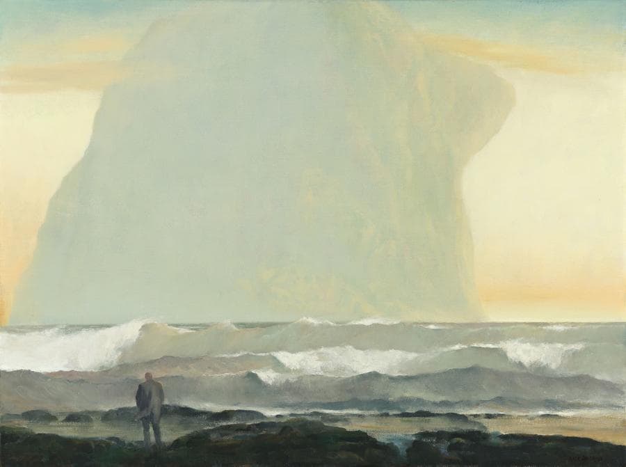 VISITOR BY THE SOUTHERN SEAS