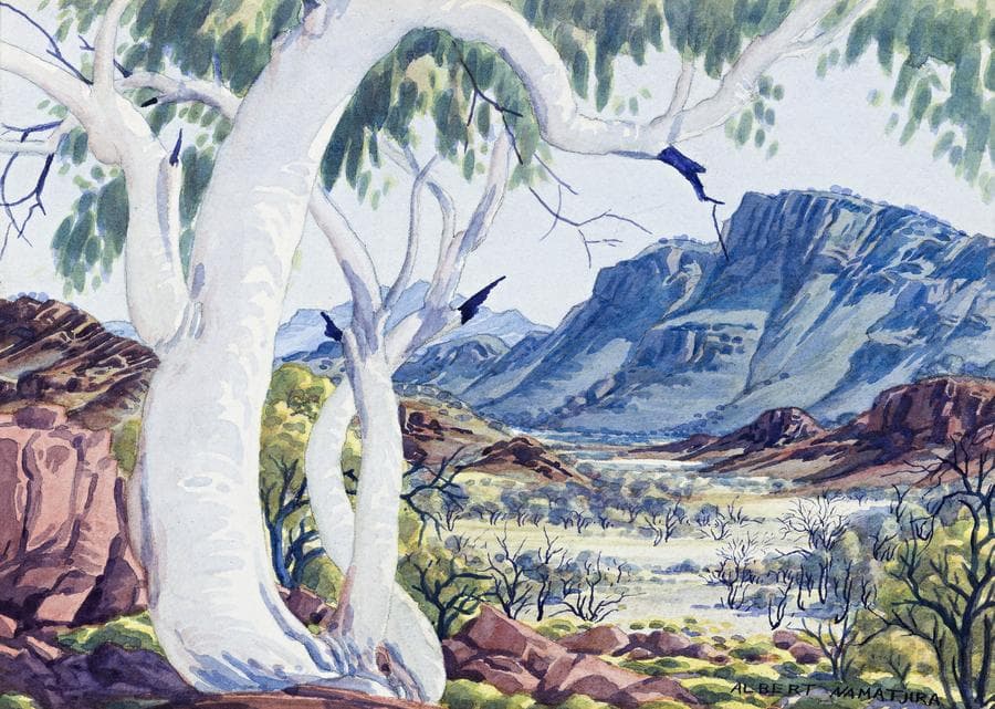 GHOST GUM, CENTRAL AUSTRALIA