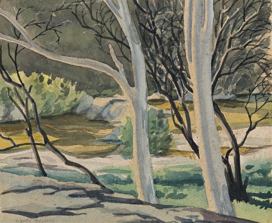 LANDSCAPE WITH RIVER AND WHITE GUMS