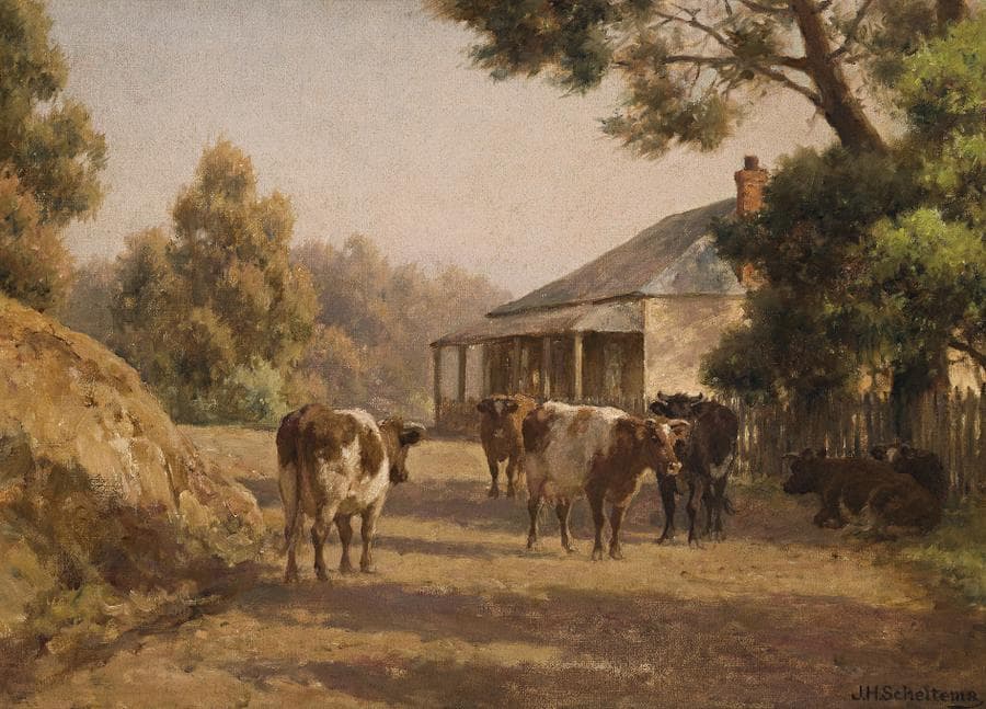 IN THE MORNING SUN, BLACKWOOD, VICTORIA
