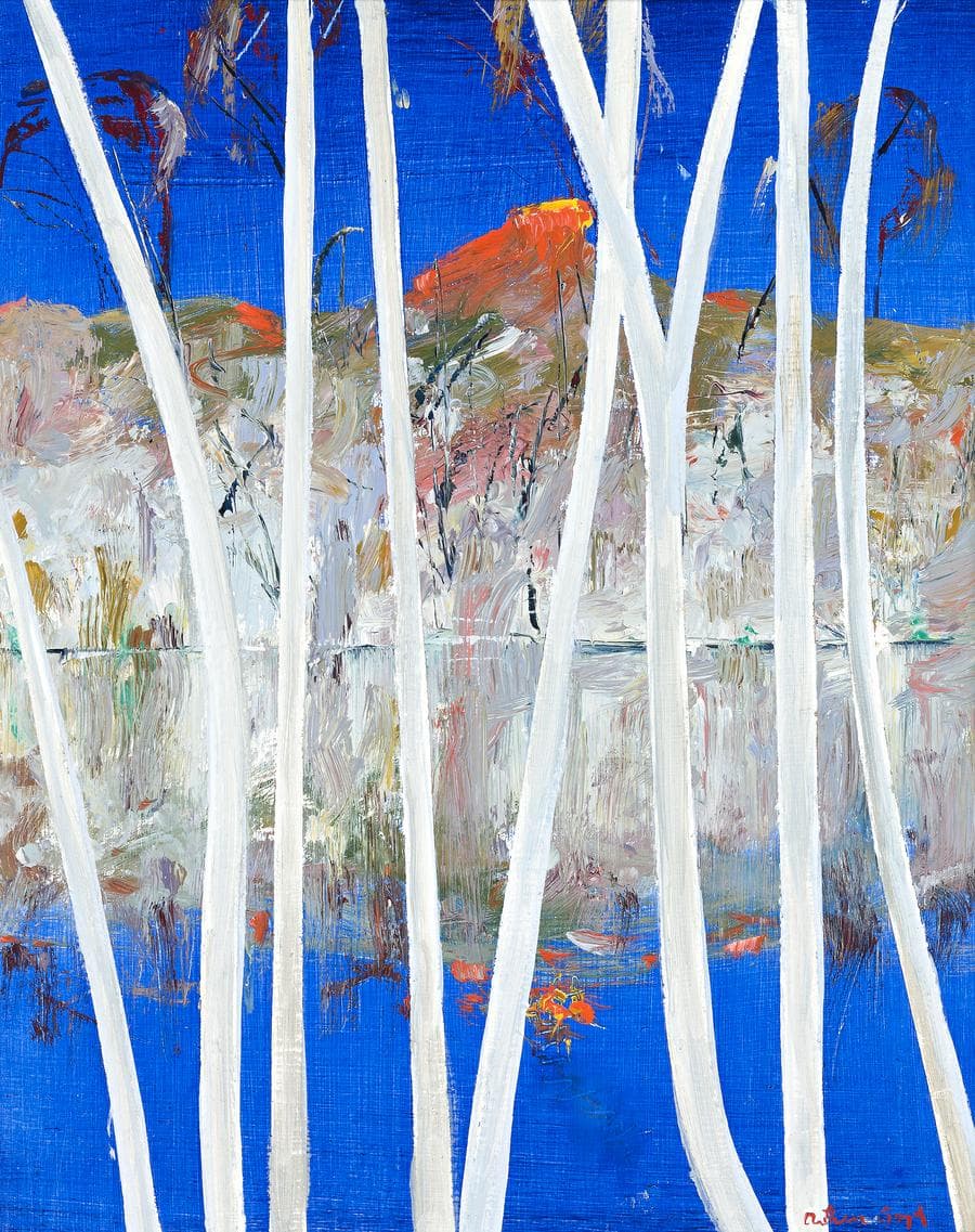 SHOALHAVEN IV