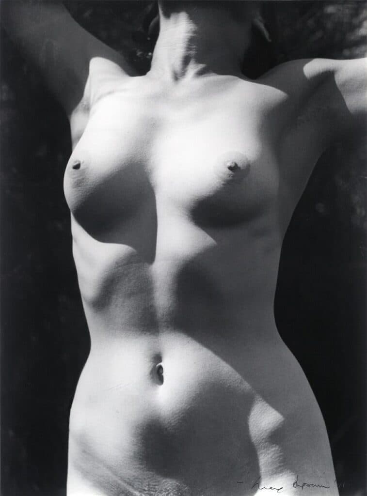 TORSO IN SUNLIGHT II